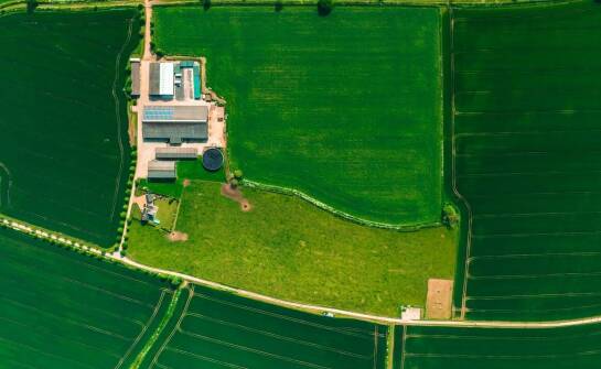 Mapowanie plonów a oszczędność środków ochrony roślin w wielkopolskich gospodarstwach