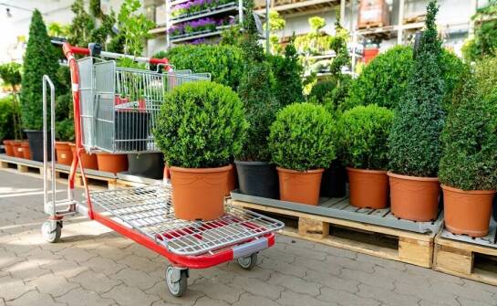 Jak internetowy sklep ogrodniczy wspiera rolnictwo zrównoważone?