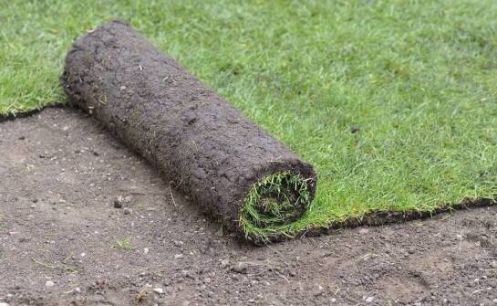 Trawa z rolki: kluczowe zalety dla sportowych przestrzeni