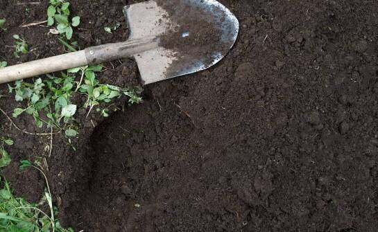 Porównanie tradycyjnego humusowania i nowoczesnego hydro-humusowania