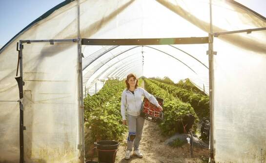 Jakie są korzyści płynące z regularnych szkoleń dotyczących obsługi opryskiwaczy w jagodnikach?