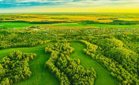 Jak można optymalizować wartość działki dzięki profesjonalnej wycenie?