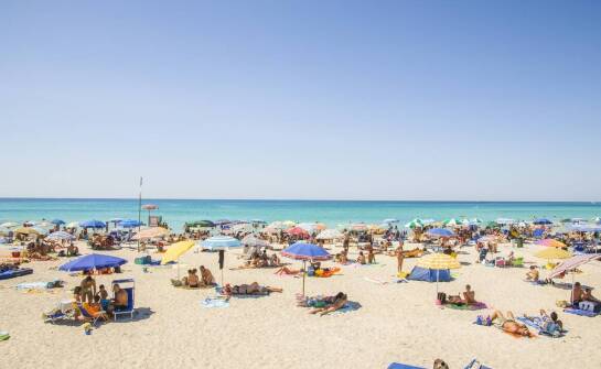 Jakie są zalety wyboru szkoły kitesurfingu w Brazylii?