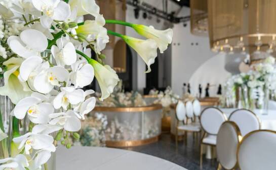 Organizacja urodzin z przewodnim tematem – jak dostosowujemy ofertę?