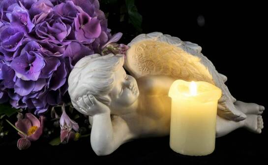 Dlaczego warto wybrać wspólną kremację dla swojego pupila?