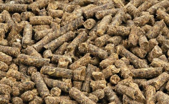 Ściółki dla koni - jakie są właściwości termoizolacyjne?