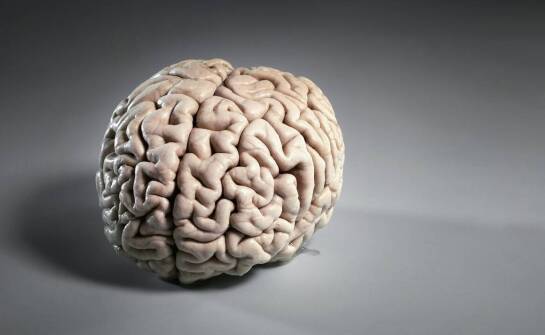 Modele głowy i ich zastosowanie w badaniach nad urazami czaszki