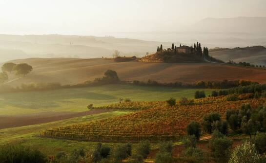 Tematyczne wycieczki po Toskanii: Jak dostosować trasę do swoich zainteresowań?