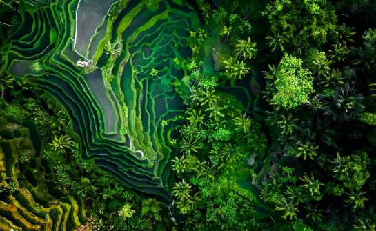 Rola barwników w zrównoważonym rozwoju przemysłu sztucznych tworzyw