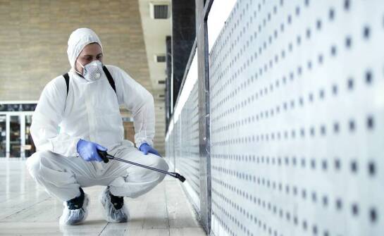 Rola doradztwa w skutecznym zwalczaniu pluskiew