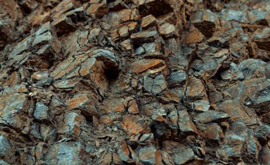 Wojskowa siatka maskująca 4x5 jako element ochrony przed wzrokiem zwierzyny