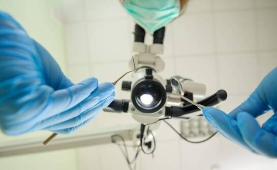 Jak weterynaryjna stomatologia wpływa na zdrowie jamy ustnej zwierząt?