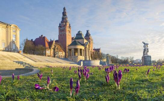 Jakie atrakcje czekają na gości wynajmujących apartamenty w pobliżu parku w Wilanowie?