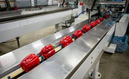 Nowoczesne maszyny do taśmowania a efektywność pakowania produktów