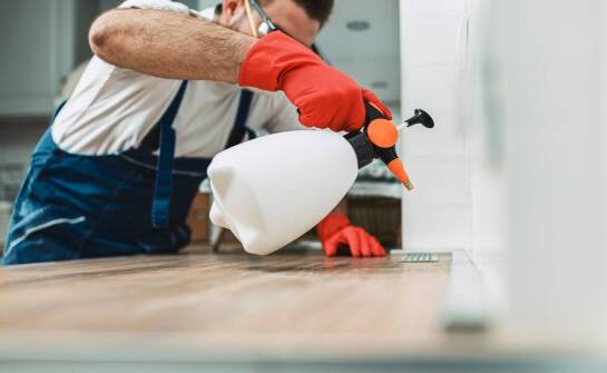 Wpływ deratyzacji na sanitarne bezpieczeństwo w obiektach mieszkalnych