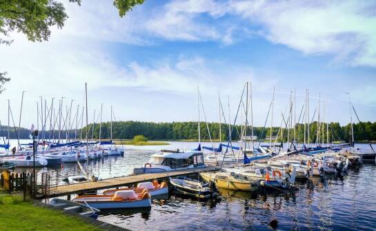 Kolonie w mazurskim wypoczynkowym ośrodku – co proponujemy dzieciom?