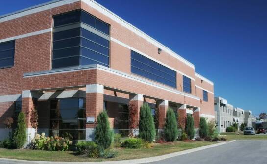 Strategia odszczurzania dla dużych komercyjnych obiektów