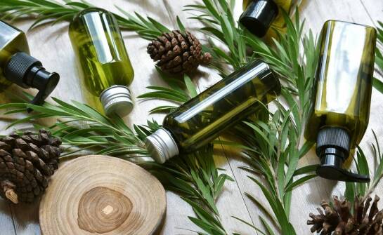 Co wpływa na różnice cenowe między markami olejów konopnych?