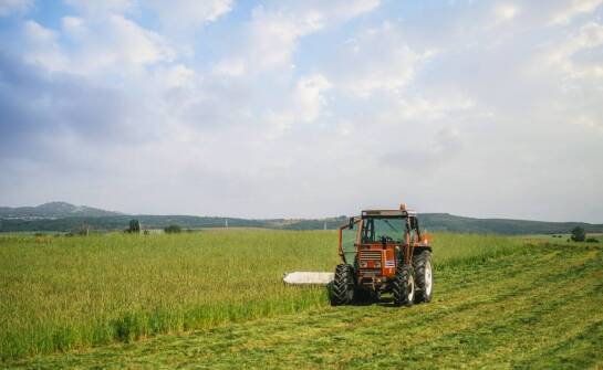 Rolniczy drapak a ekonomia hodowli – jak przekłada się na koszty?