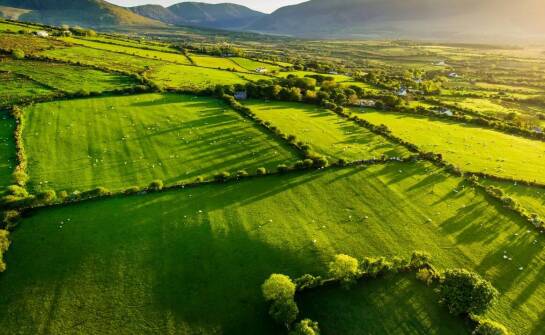 Zastosowanie słupków do pastucha w różnych terenowych warunkach