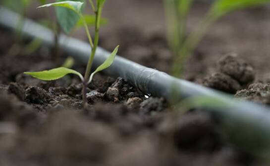 Rura do deszczowni 75 mm a nowoczesne technologie do nawadniania