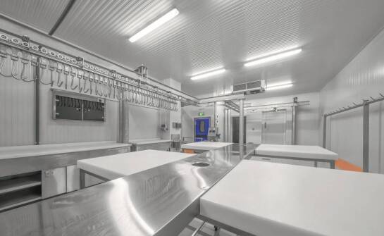 Rola nowoczesnych technologii w produkcji mięsa i drobiu