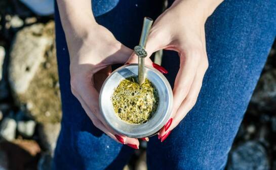 Yerba Mate: jakie są korzyści z picia tego napoju i jak przygotować go?