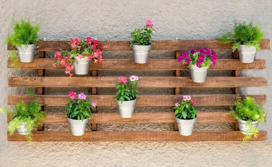 Jak wybrać odpowiedni kolor lamelowego płotu o wysokości 120 cm do swojego otoczenia?