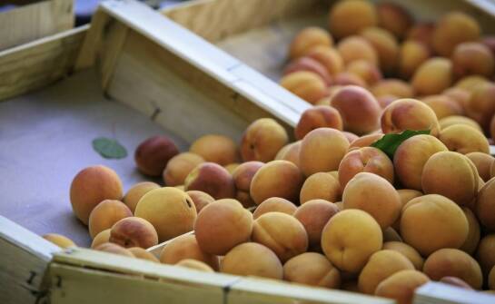 Jakie są najnowsze trendy w cenach nektarynek w roku 2026?