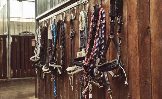 Jakie dodatkowe funkcje oferują akcesoria jeździeckie York?