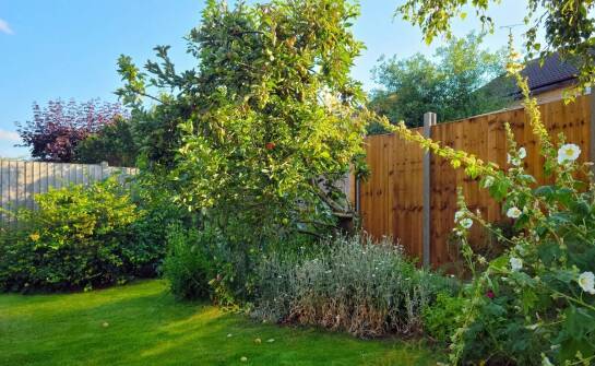 Palisadowe ogrodzenia a ochrona prywatności – co warto wybrać?