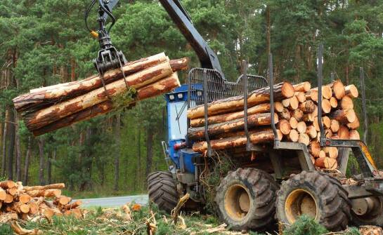 Jakie są kluczowe cechy wpływające na wybór odpowiedniej do drewna łuparki?