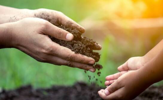 Najlepsze praktyki w stosowaniu mineralnych nawozów