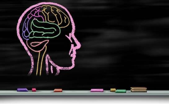 Szkolenia z zakresu neuroróżnorodności: dlaczego są ważne dla współczesnych organizacji?