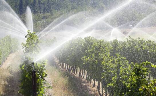 Systemy nawadniające a ochrona środowiska – jakie dostępne są rozwiązania?