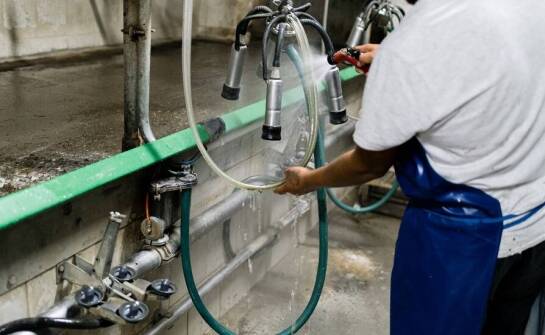 Mycie udojowych systemów – klucz do utrzymania wysokiej jakości mleka