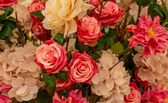 Wpływ koloru kwiatów na estetykę ogrodu – pomarańczowa róża