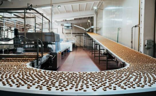 Optymalizacja procesów produkcyjnych dzięki zastosowaniu taśmowych osłon przenośników