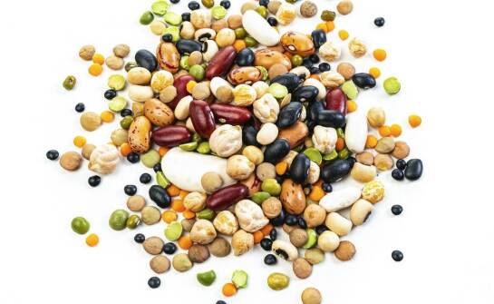 Jaką karmę dla gołębi podawać zimą ptakom?