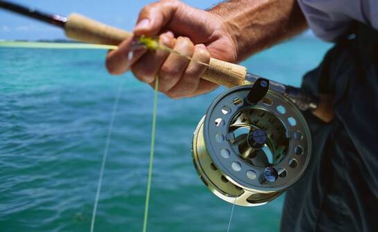 Jakie cechy wyróżniają dobrą morską wędkę?