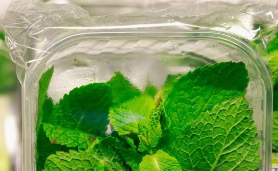 Rola ekologicznego kartonu w transformacji rynku opakowań plastikowych