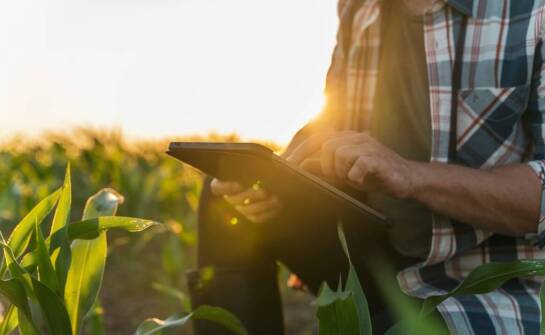 Jakie są możliwości rozwoju darmowego programu do zarządzania stadem bydła?