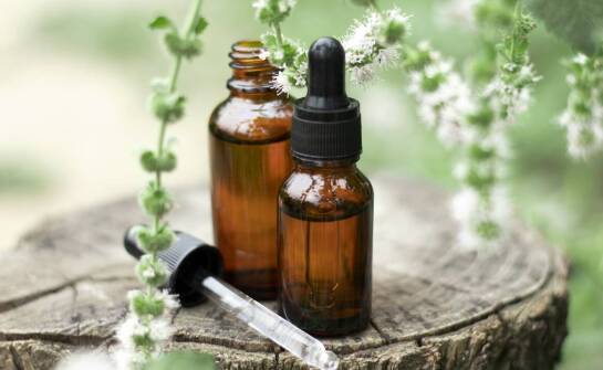 Ekstrakty ziołowe a poprawa funkcji trawiennych organizmu