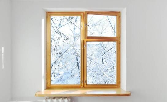 Jaką karmę podawać dzikim ptakom w zimie? Wskazówki