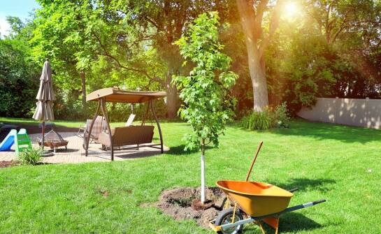 Jakie są najważniejsze kryteria przy wyborze taczki do nawozu?