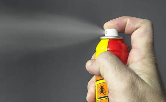 Jak środki do zwalczania insektów wpływają na oszczędność zasobów i czasu?