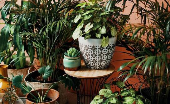 Praktyczne zastosowanie donic na tarasie w małych miejskich przestrzeniach