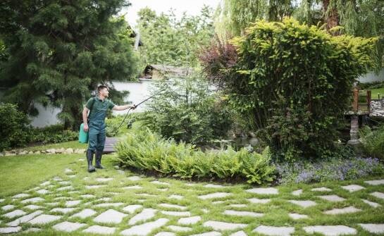 Jak ogrodnik w Modlnicy może pomóc w ochronie roślin przed szkodnikami?