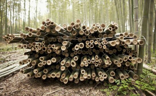 Jakie są różnice między słupkami do pastucha o długości 150 cm a innymi rodzajami palików ogrodzeniowych?