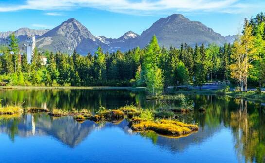 Zs Krynice – co czyni je wyjątkowym miejscem na wakacyjny odpoczynek?